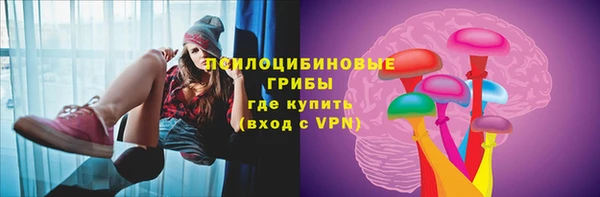 шишки Верхнеуральск