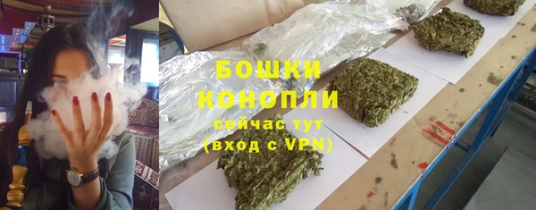 СК Волосово