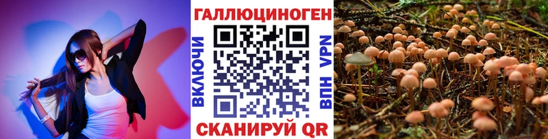 blacksprut зеркало  Черняховск  Псилоцибиновые грибы мухоморы 